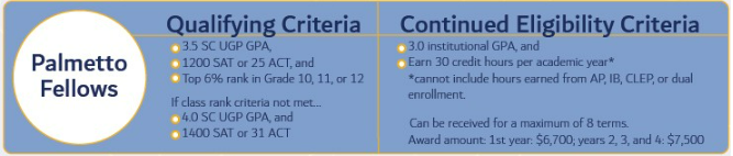 Palmetto fellow requirements